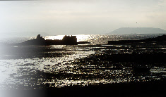 wp99702dfc_0f.jpg